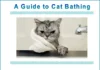Furkids: The Martial Art of Cat Bathing