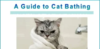 Furkids: The Martial Art of Cat Bathing