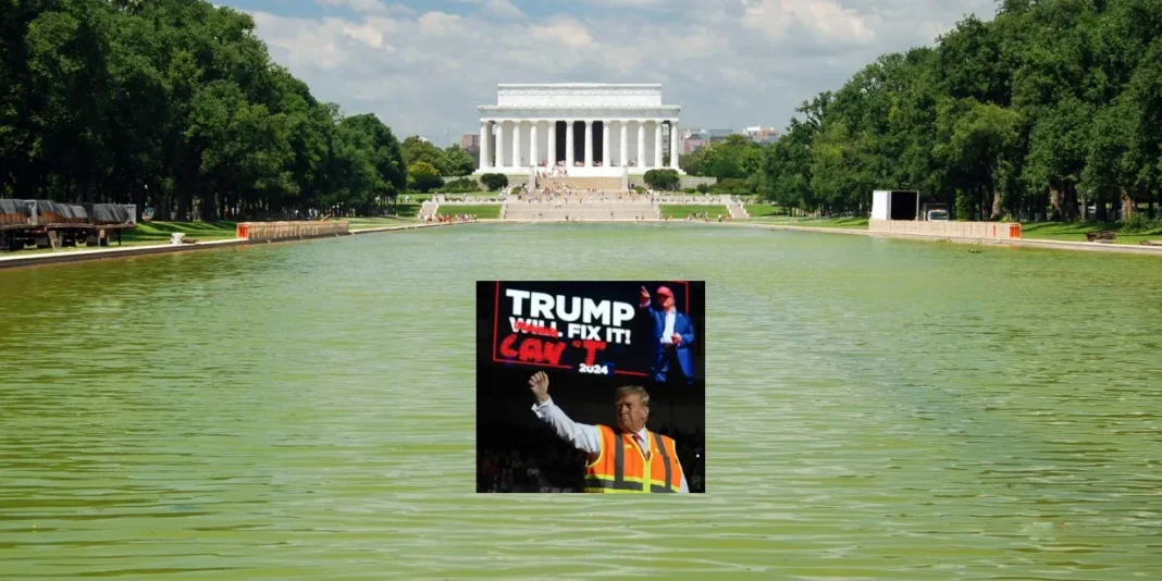 Algae Reflecting-Pool