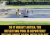 Trump’s Criminal Algae Pond Shows Up Again