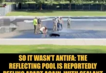 Trump’s Criminal Algae Pond Shows Up Again