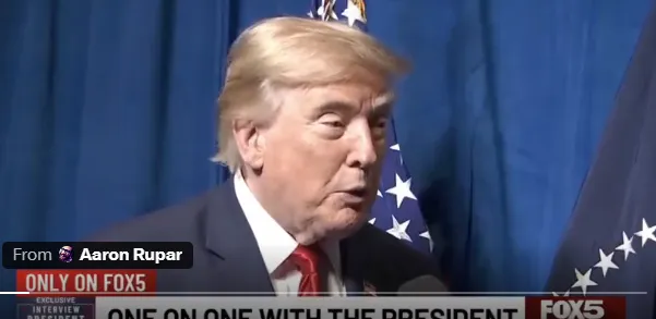 Trump wig