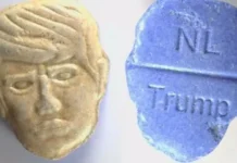 Funny Or Frightening – Trump Head Shape Ecstasy
