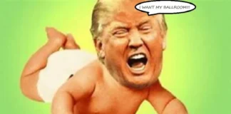 Federal Appeals Court Tells Trump Bye Bye Ballroom
