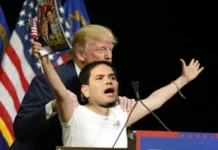 Little Marco Is Getting Mocked For Citizenship Claim