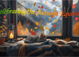 Furkids: Northern Hemisphere Falls into Autumn