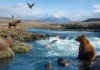 Alaskan Democrats Present a Masterclass in Ranked Choice Voting