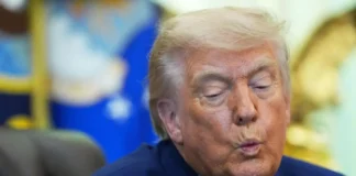 Trump Owns Himself
