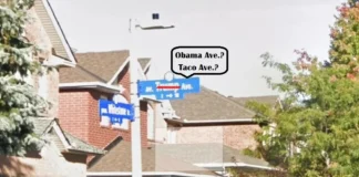 Ottawa Council Votes Rename Trump Ave., He Won’t Like What Comes Next