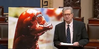 Senator Kennedy Offers Colorful Take On Having To Campaign For Others