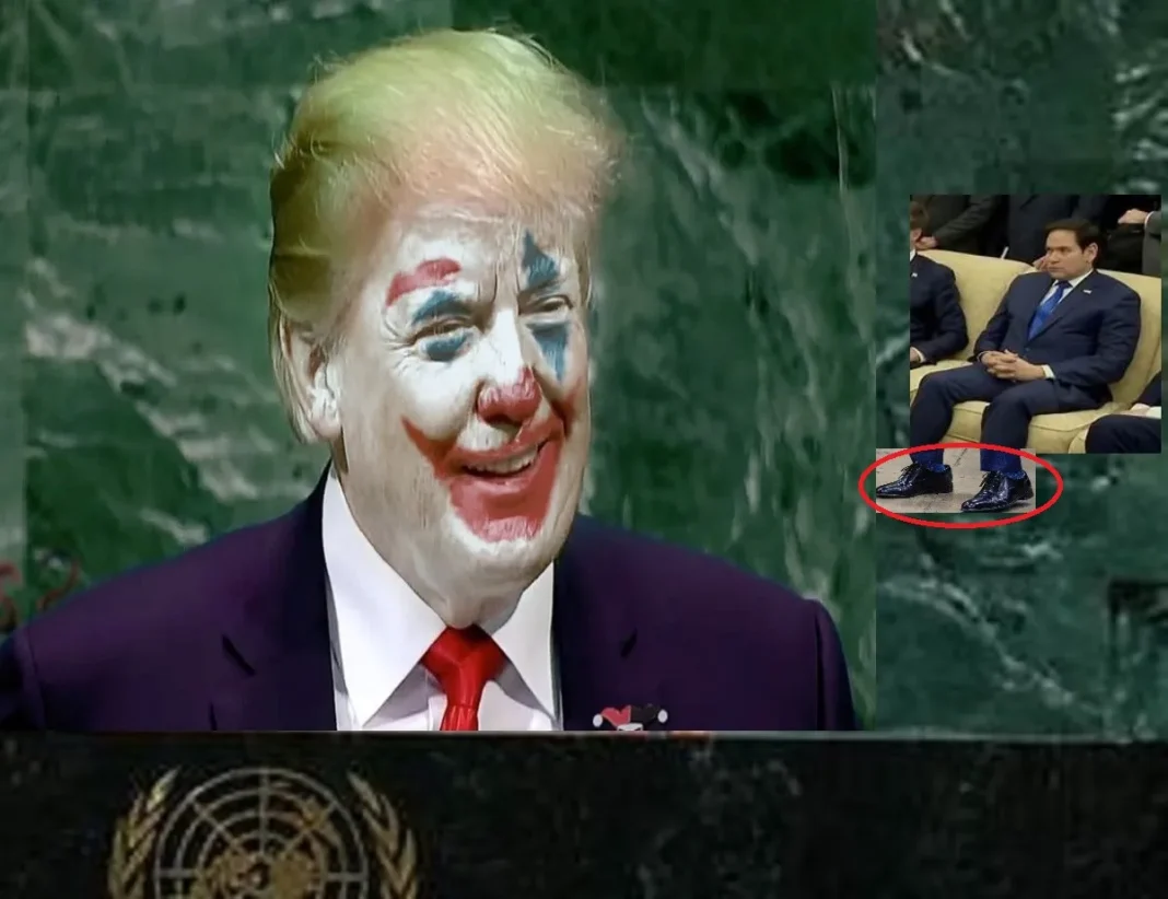 trump rubio clown show2