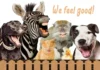 Furkids: Feelin’ Real Good Y’All!