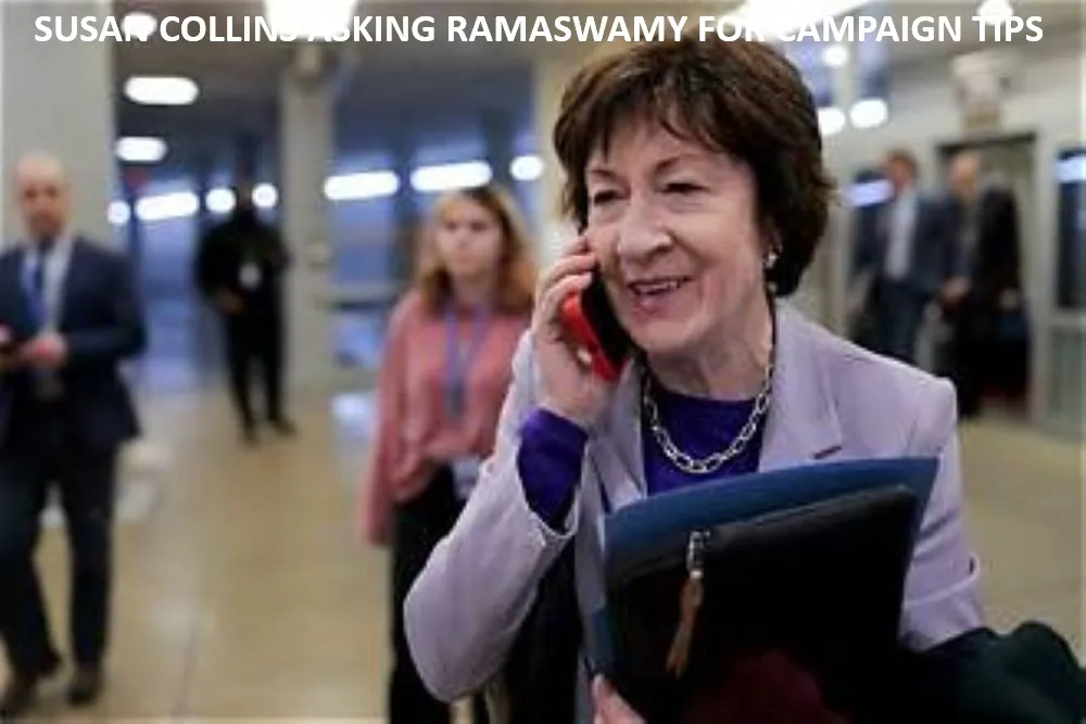 susan collins